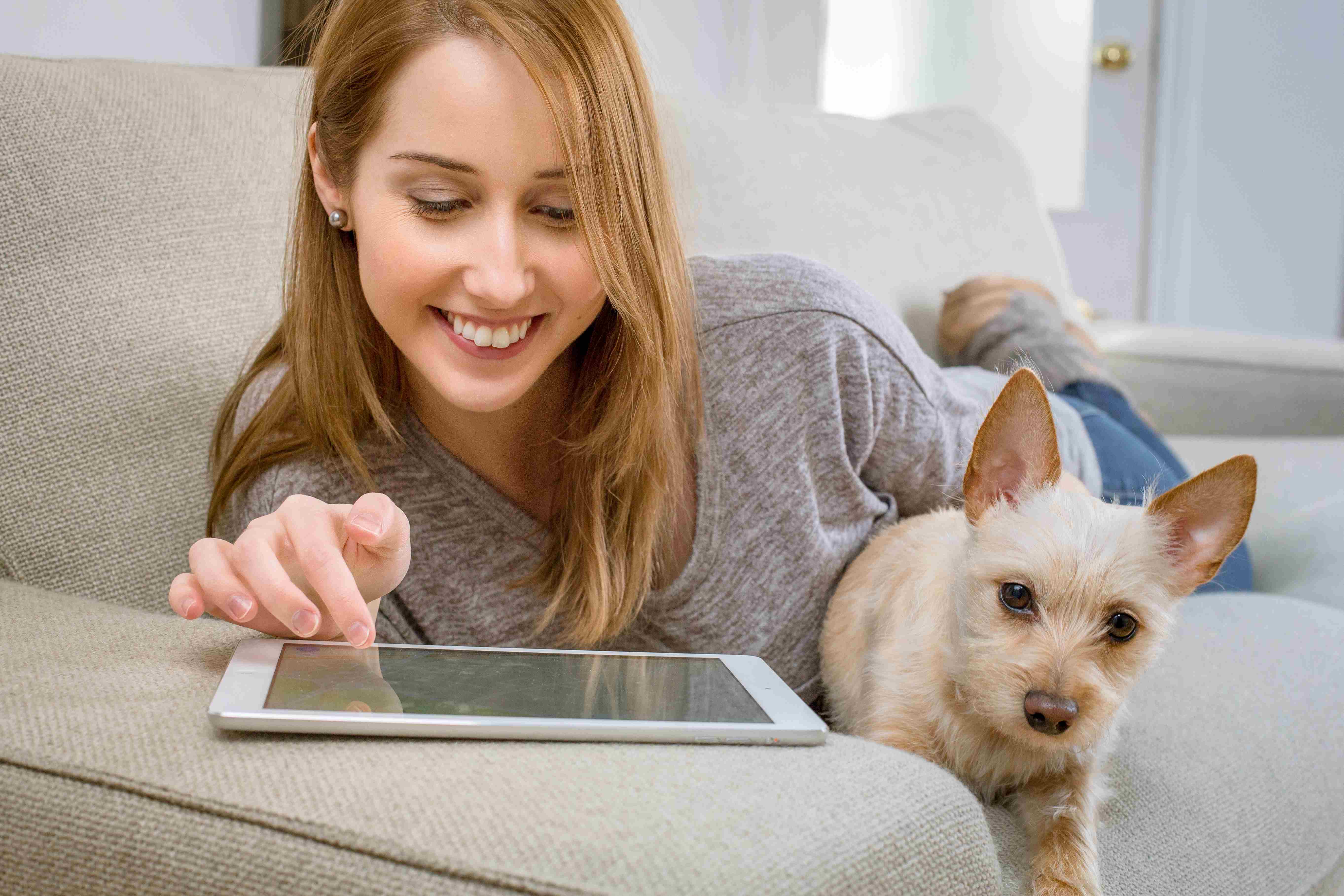 Eier booker time online på nettbrett med hunden ved siden av i sofaen