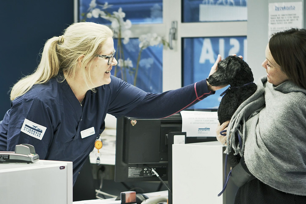 Dyreeier kommer med sin hund til dyreklinikken