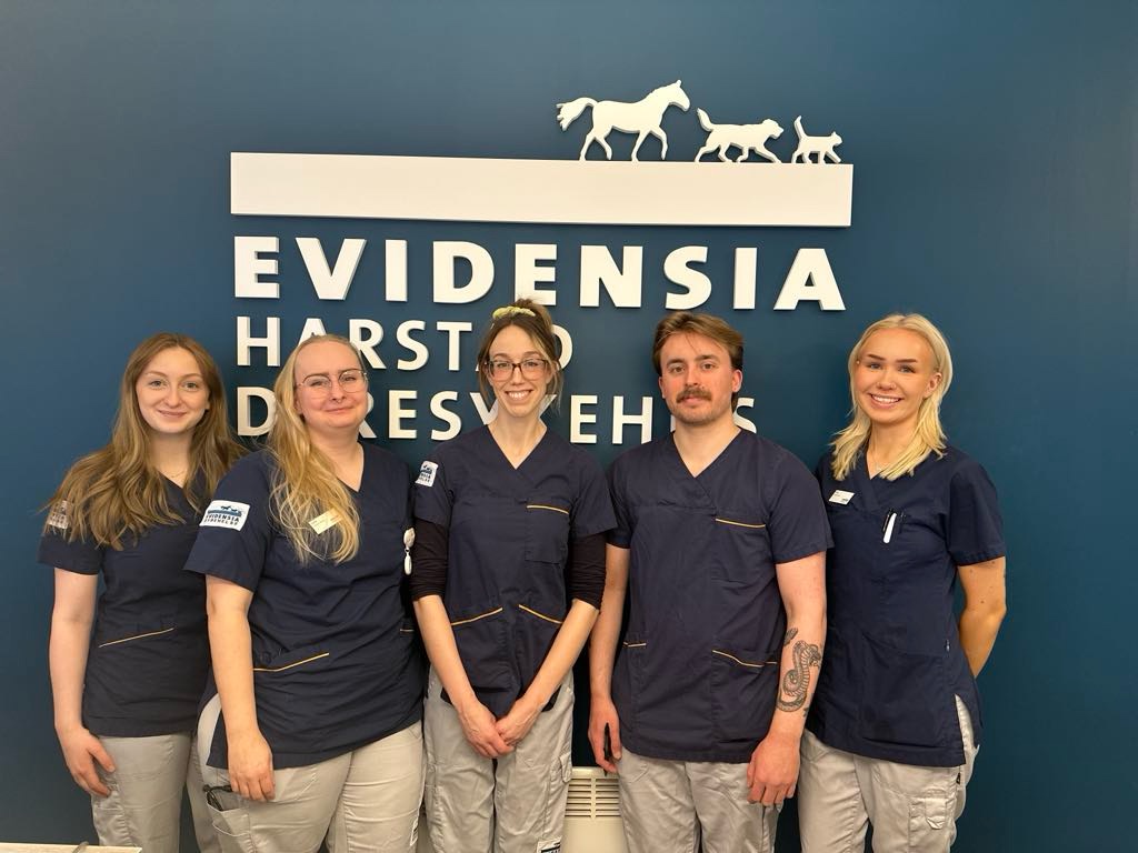 Teamet på Evidensia Harstad Dyresykehus
